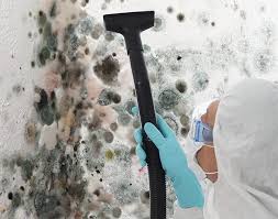 Best Mold Remediation for Healthcare Facilities  in Lexington, MO